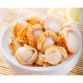 Premium Cooked Seafood Scallop Without Shell